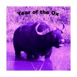 year-of-the-ox